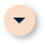 circle_arrow_dw-icon