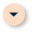 circle_arrow_dw-icon